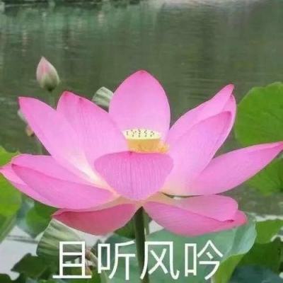 汲斌昌贪5.26亿受审
